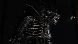 ALIEN XENOMORPH!!! NECA 1/4 SCALE 