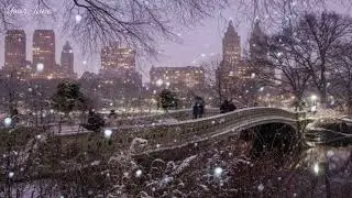Avi Snow - Magic / one song for your soul