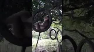 pyar ne udhas kar diya#trending #sh&oacute;rts #viral @manoj day