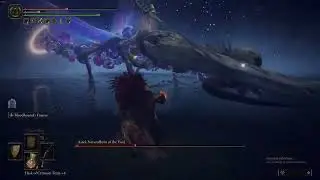 Astel Of The Void Boss Fight