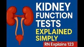 Kidney Function Explained 💧 &mdash; BUN, Creatinine & GFR | RN Explains 123