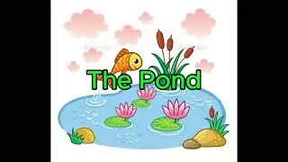 THE POND - DEMO
