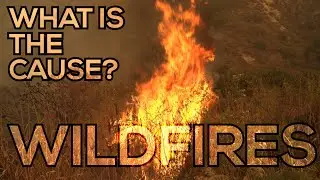 What is really causing the record-breaking western wildfires?