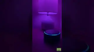Connect your Spotify account with Amazon Alexa for music. #ytshorts