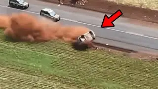 BANDIT TRIES TO ESCAPE FROM THE POLICE AND GETS INJURY IN RURAL AREA