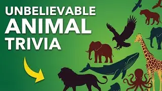 5 Wild Animal Facts Kids MUST Know!