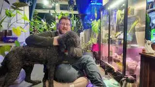 My Anthurium Cabinet Was a Mess…I Finally Clean My Anthurium Plant Cabinet