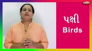 Learn Birds in Gujarati | Bird Names With Pictures | Pebbles Gujarati | School Learning Videos