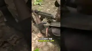 Nigeria Army has conduct a Successful Operation in Yobe state