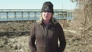 Town Park Shoreline Stabilization