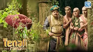 तेनाली और तथाचार्य ने महारानी को देखा महाराज की टोपी चुराते | Tenali Rama | Full Episode 118