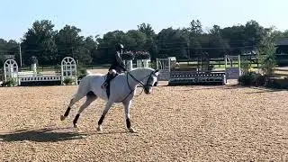 1st place round in the Hamel at Princeton Show Jumping &mdash; Ava Gronczewski 2027 & Cheeky Monkey 2