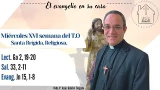 El Evangelio en su Casa. “Yo soy la verdadera vid y mi Padre el labrador”