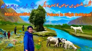 Saling Valley: The Soul of Gilgit Baltistan. Why Gilgit-Baltistan Should Be Your Next Travel.
