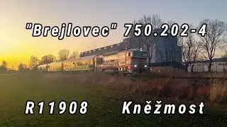 Brejlovec KDS 750.202-4 | R 11908 | Kněžmost | 14.2. 2019