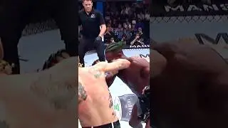 Stunning Knockout by Sean O'Malley against Aljamain Sterling