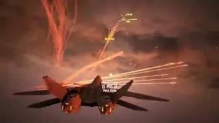 Project Wingman - final boss  (Mercenary)
