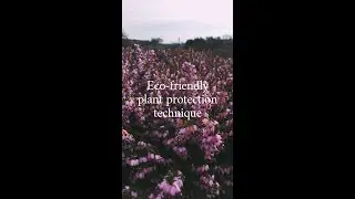 Eco friendly plant protection technique