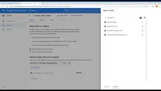 Google AutoML Tutorial: Step 1 Importing Images