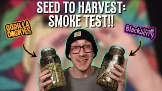 Seed to Harvest FINAL PART!! Gorilla Cookies and Blackberry Autoflower Smoke Report!