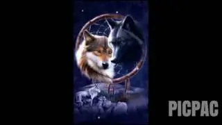 Honey Bee- Wolves