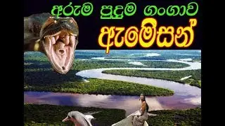 The Environment amazon river