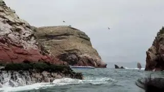 Islas Ballestas