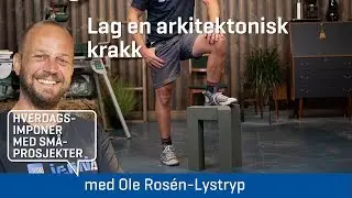 Ole lager kunstnerisk krakk