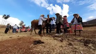 Herranza santiaguera al estilo 