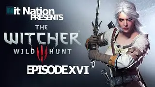 Let's Play Witcher 3: Wild Hunt ► #16