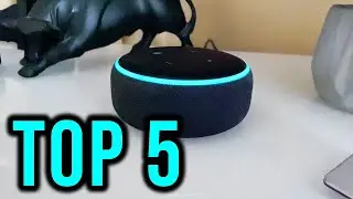 TOP 5 Questions To Ask To ALEXA (Amazon Echo)