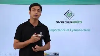 Class 11th – Cyanobacteria – Importance | Biological Classification | Tutorials Point
