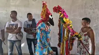 Cia de Reis Familía de Belém: Trecho de Santos Reis em Castilho-SP ³