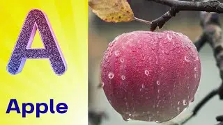 ABC Song | Learn ABC Alphabet for Children | Education ABC Nursery Rhymes