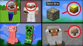 ✔ Minecraft: 20 Things You Didn't Know About the Survival Test