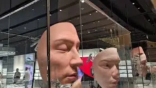 Дубай январь 2026. 