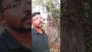 Mon ma milaven dular #song #music #newsong #surajroxfunnyvide
