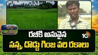 రబీకి అనువైన సన్న, దొడ్డు గింజ వరి రకాలు | Best Paddy Seeds for High Yield 2025 |Matti Manishi |10TV