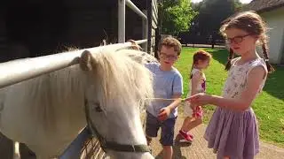 Lullymore Heritage Park - Midlands Park Hotel
