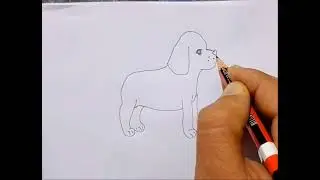 How to make dog drawing 🐶/easy pencil art drawing.