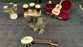 The BocknRoll Band Practice