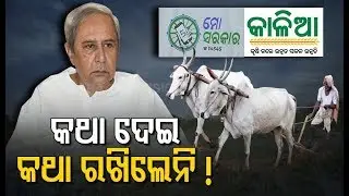 Focus On Multiple Aspects As Odisha Agriculture Dept Brought Under 5T-Governance Model