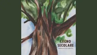 La mia sera