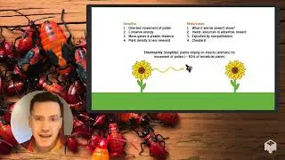 Evolution of plant-pollinator mutualisms | UW-Madison Basic and Applied Insect Ecology
