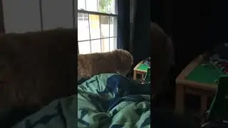 Please get off me