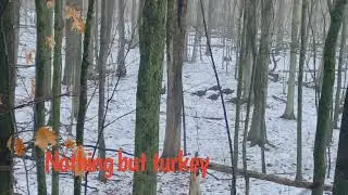 Michigan public land wilderness, late antlerless season 