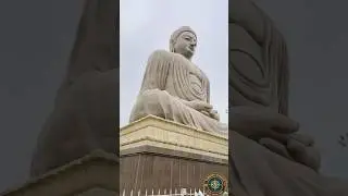 The Great Buddha☮️#travel #buddha #peace #shorts