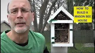How to Build a Mason Bee House 🐝 Easy DIY for Garden Pollinators!