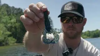 Deep Dive - Dakota Ebare - Rage Bug vs Rage Craw
