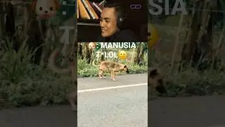 LAGI GOYANG DIA 🤣😏😏 #gustidju #reaction #shorts #meme #lucu